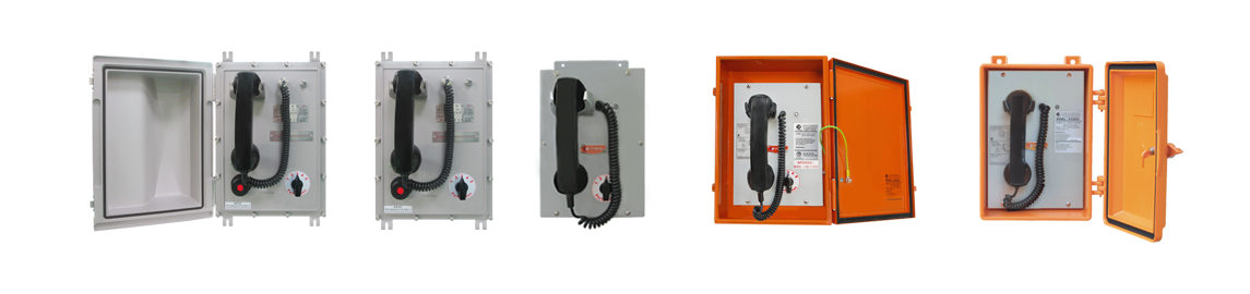 Explosion-proof Type